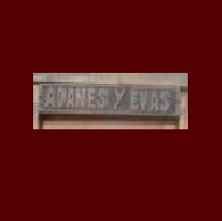 Adanes y Evas